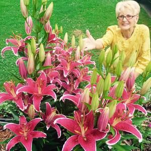 Meet your Posher, Nancy